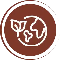 Colección Elite SPC: Suelo Vinílico Premium 7mm | Ecco Covering