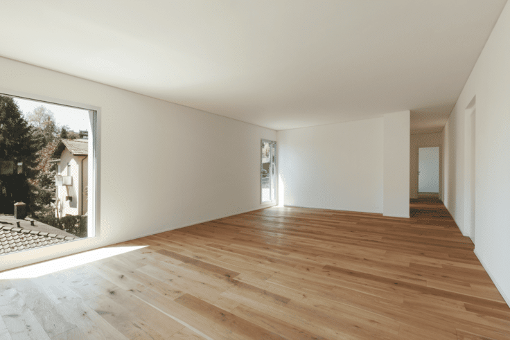 como elegir mejores sueles spc